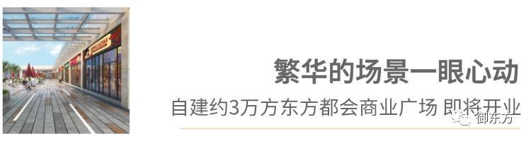 御东方(图15)